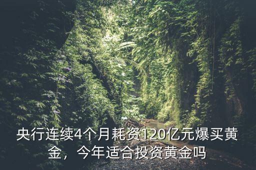 買(mǎi)黃金投資怎么樣,投資理財(cái)買(mǎi)黃金合適嗎