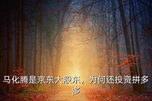 馬化騰是京東大股東，為何還投資拼多多