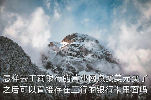 怎么買美元,如何個(gè)人購(gòu)買美元