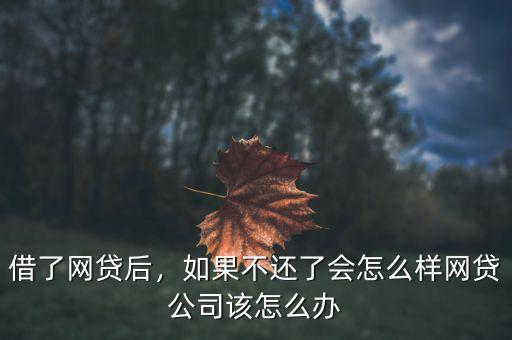 借了網(wǎng)貸后，如果不還了會怎么樣網(wǎng)貸公司該怎么辦
