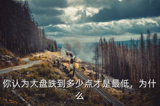 你認(rèn)為大盤跌到多少點(diǎn)才是最低，為什么