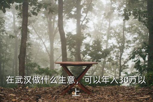 在武漢做什么生意，可以年入30萬(wàn)以上