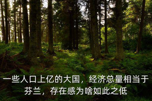 一些人口上億的大國，經(jīng)濟(jì)總量相當(dāng)于芬蘭，存在感為啥如此之低