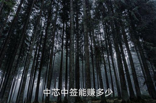 2015中一簽收益多少,中芯中簽能賺多少
