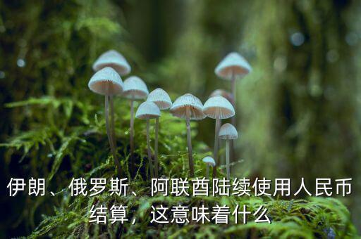 伊朗、俄羅斯、阿聯(lián)酋陸續(xù)使用人民幣結(jié)算，這意味著什么