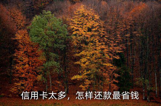信用卡太多，怎樣還款最省錢