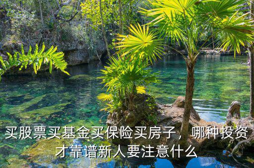 買股票買基金買保險買房子，哪種投資才靠譜新人要注意什么