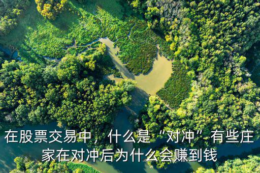 在股票交易中，什么是“對(duì)沖”有些莊家在對(duì)沖后為什么會(huì)賺到錢