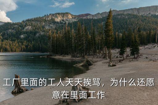 工廠里面的工人天天挨罵，為什么還愿意在里面工作