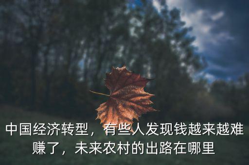 中國(guó)經(jīng)濟(jì)轉(zhuǎn)型，有些人發(fā)現(xiàn)錢(qián)越來(lái)越難賺了，未來(lái)農(nóng)村的出路在哪里