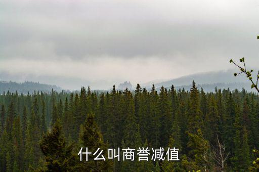 什么是商譽減值測試,商譽減值是壞事嗎