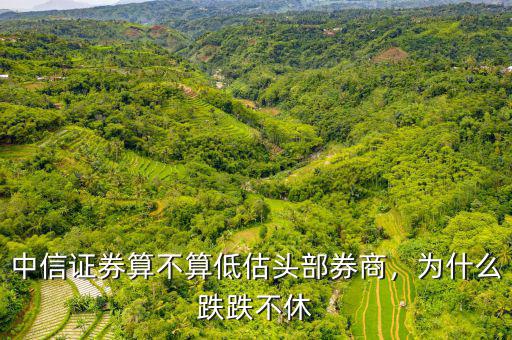 中信證券算不算低估頭部券商，為什么跌跌不休