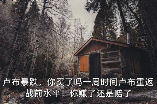 盧布暴跌，你買了嗎一周時(shí)間盧布重返戰(zhàn)前水平！你賺了還是賠了