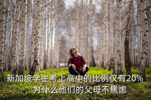 新加坡學生考上高中的比例僅有20%，為什么他們的父母不焦慮