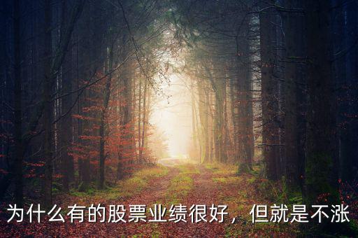 為什么有的股票業(yè)績很好，但就是不漲