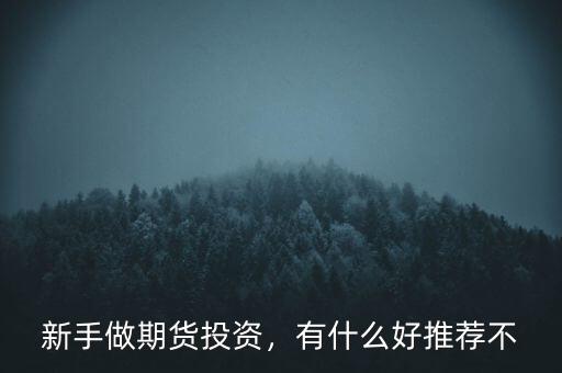 期貨新手買(mǎi)什么,期貨新手適合做什么品種
