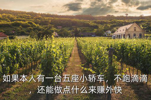 如果本人有一臺(tái)五座小轎車，不跑滴滴，還能做點(diǎn)什么來(lái)賺外快