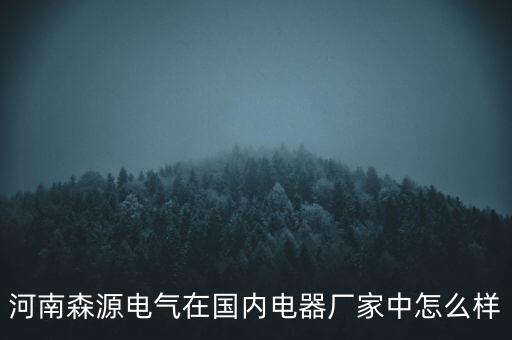 河南森源電氣在國(guó)內(nèi)電器廠家中怎么樣