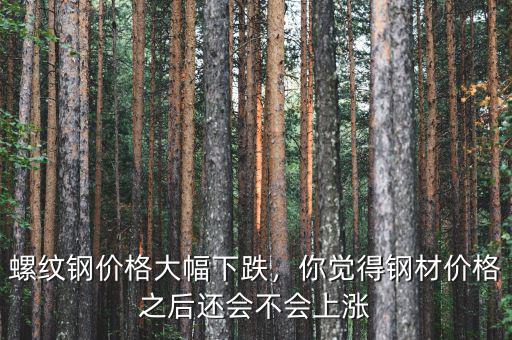 螺紋鋼價(jià)格大幅下跌，你覺(jué)得鋼材價(jià)格之后還會(huì)不會(huì)上漲