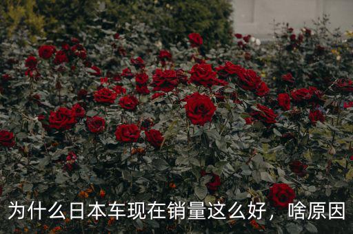 為什么日本車現(xiàn)在銷量這么好，啥原因
