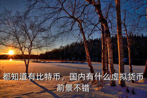 虛擬貨幣都有什么,現在都有哪些虛擬貨幣