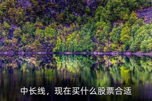 中長線，現(xiàn)在買什么股票合適