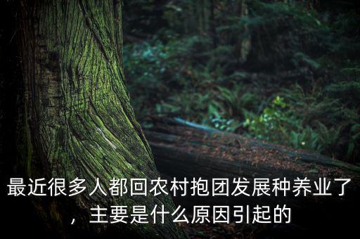 最近很多人都回農(nóng)村抱團(tuán)發(fā)展種養(yǎng)業(yè)了，主要是什么原因引起的