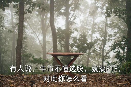 有人說，牛市不懂選股，就搞ETF，對此你怎么看