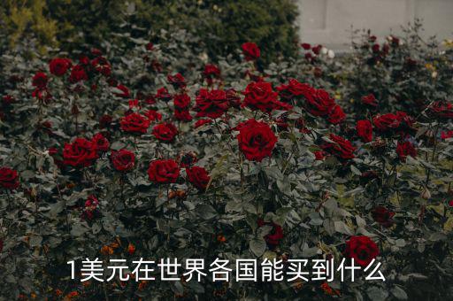 一美元在各國(guó)能買(mǎi)什么,1美元在美國(guó)能買(mǎi)到什么