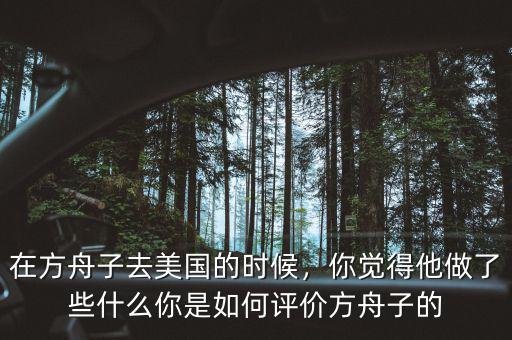 在方舟子去美國的時候，你覺得他做了些什么你是如何評價方舟子的