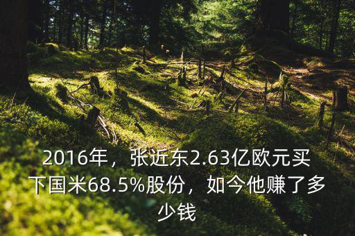 2016年，張近東2.63億歐元買下國米68.5%股份，如今他賺了多少錢