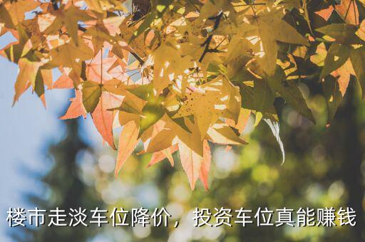 樓市走淡車位降價，投資車位真能賺錢