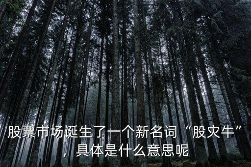 股票市場(chǎng)誕生了一個(gè)新名詞“股災(zāi)?！?，具體是什么意思呢