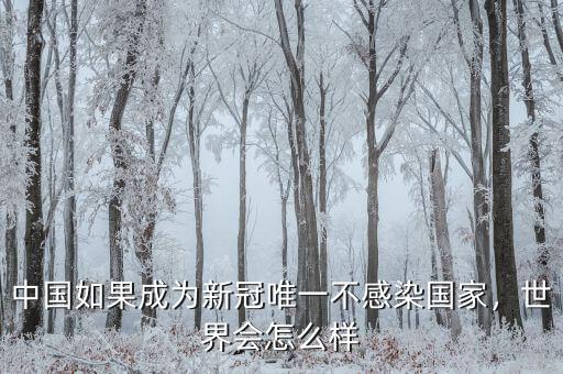 中國(guó)如果成為新冠唯一不感染國(guó)家，世界會(huì)怎么樣