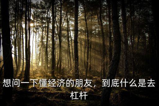 想問一下懂經(jīng)濟(jì)的朋友，到底什么是去杠桿