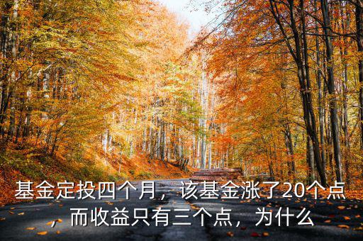 基金定投四個月，該基金漲了20個點，而收益只有三個點，為什么