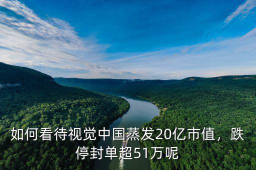 如何看待視覺中國蒸發(fā)20億市值，跌停封單超51萬呢