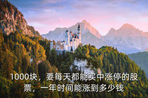 1000塊，要每天都能買中漲停的股票，一年時(shí)間能漲到多少錢