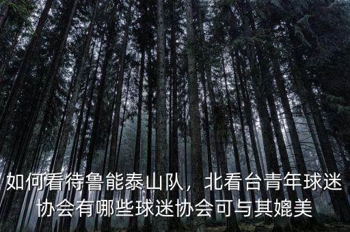 如何看待魯能泰山隊(duì)，北看臺(tái)青年球迷協(xié)會(huì)有哪些球迷協(xié)會(huì)可與其媲美