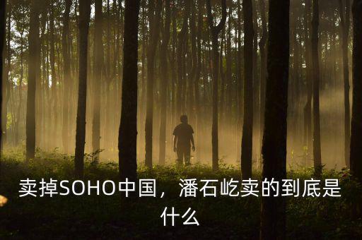 賣掉SOHO中國，潘石屹賣的到底是什么