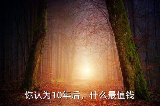 你認(rèn)為10年后，什么最值錢