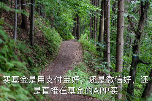買基金是用支付寶好，還是微信好，還是直接在基金的APP買
