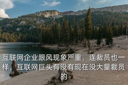 互聯(lián)網(wǎng)企業(yè)跟風(fēng)現(xiàn)象嚴(yán)重，連裁員也一樣，互聯(lián)網(wǎng)巨頭有沒(méi)有現(xiàn)在沒(méi)大量裁員的