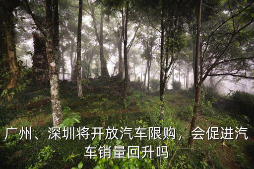 廣州、深圳將開放汽車限購，會促進(jìn)汽車銷量回升嗎