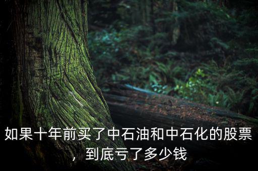 如果十年前買(mǎi)了中石油和中石化的股票，到底虧了多少錢(qián)