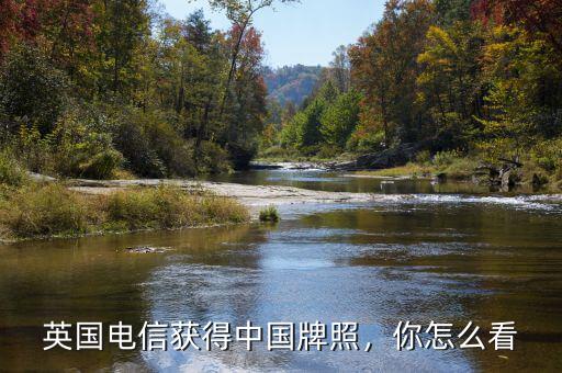 英國電信獲得中國牌照，你怎么看