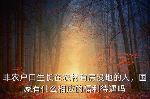 非農(nóng)戶(hù)口生長(zhǎng)在農(nóng)村有房沒(méi)地的人，國(guó)家有什么相應(yīng)的福利待遇嗎