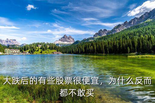 大跌后的有些股票很便宜，為什么反而都不敢買