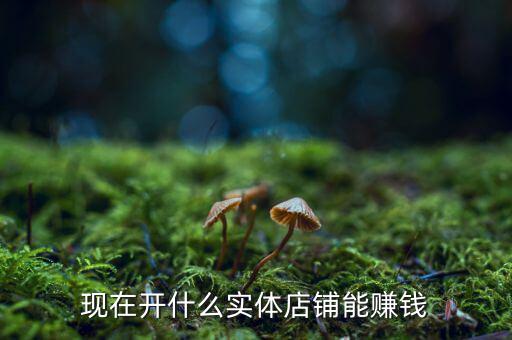 實體行業(yè)什么賺錢,現在開什么實體店鋪能賺錢