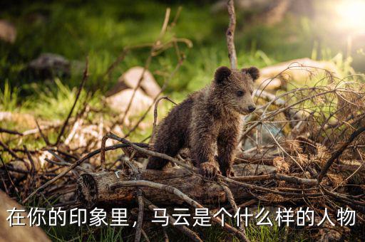 在你的印象里，馬云是個(gè)什么樣的人物